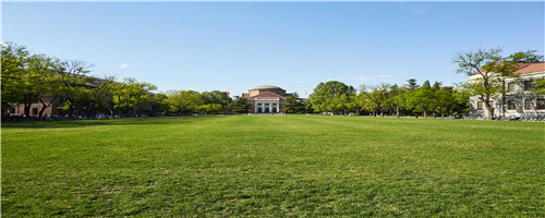 荷蘭商學院國際博士招生流程 荷蘭商學院國際博士招生流程