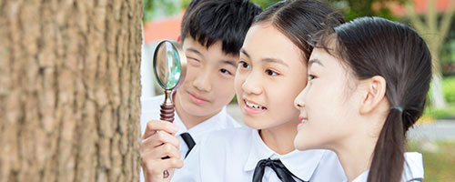 天津醫科大學在職研究生 天津醫科大學在職研究生