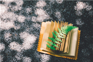 福建在職研究生學(xué)費(fèi)一般要多少 福建在職研究生學(xué)費(fèi)一般要多少