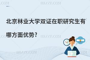 北京林業(yè)大學(xué)雙證在職研究生有哪方面優(yōu)勢?