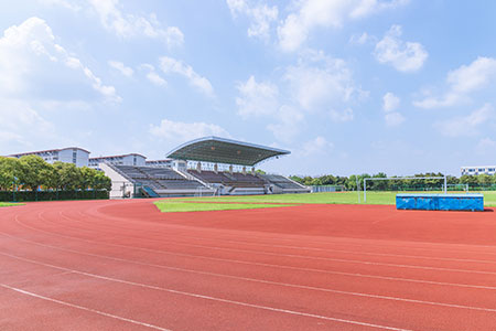 ؔ(ci)(jng)W(xu)оI(y)Ҫl(f)ՓĆᣬʲôwҪ