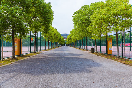 深圳技術大學在職研究生與全日制區別解析,職場認可度怎么樣? 深圳技術大學在職研究生與全日制區別解析,職場認可度怎么樣?