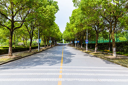 xt(y)W(xu)ԺӢmW(xu)Ժо(du)ЎᣬnЩɫ