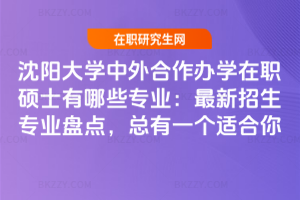 沈陽大學中外合作辦學在職碩士有哪些專業:最新招生專業盤點,總有一個適合你
